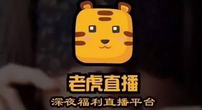 国产深夜福利在线播放,揭秘深夜娱乐新潮流